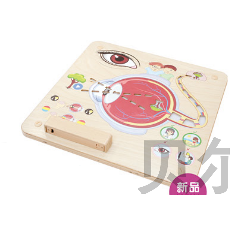 BEK 16301 我的五種感覺(jué)-視覺(jué)